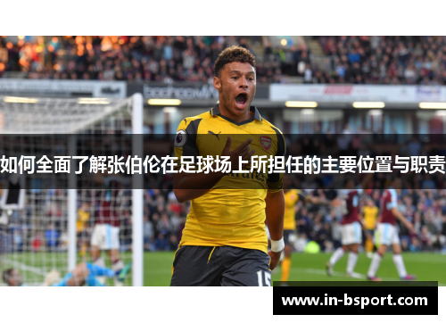如何全面了解张伯伦在足球场上所担任的主要位置与职责 如何全面了解张伯伦在足球场上所担任的主要位置与职责