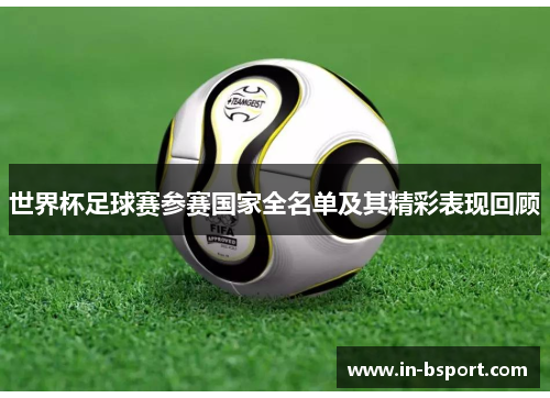 世界杯足球赛参赛国家全名单及其精彩表现回顾