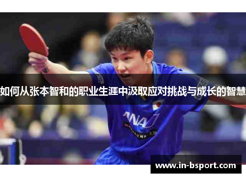 如何从张本智和的职业生涯中汲取应对挑战与成长的智慧